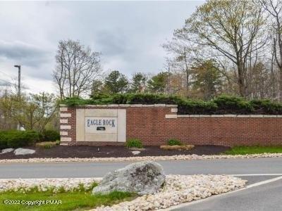 print property image