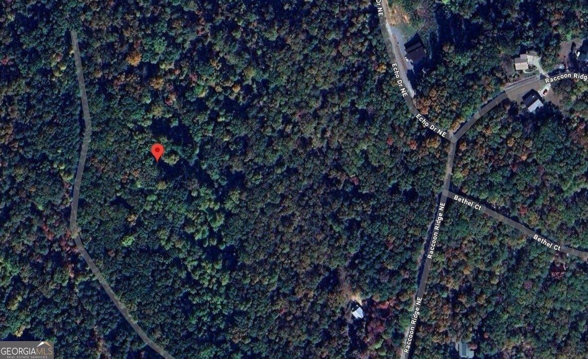 print property image