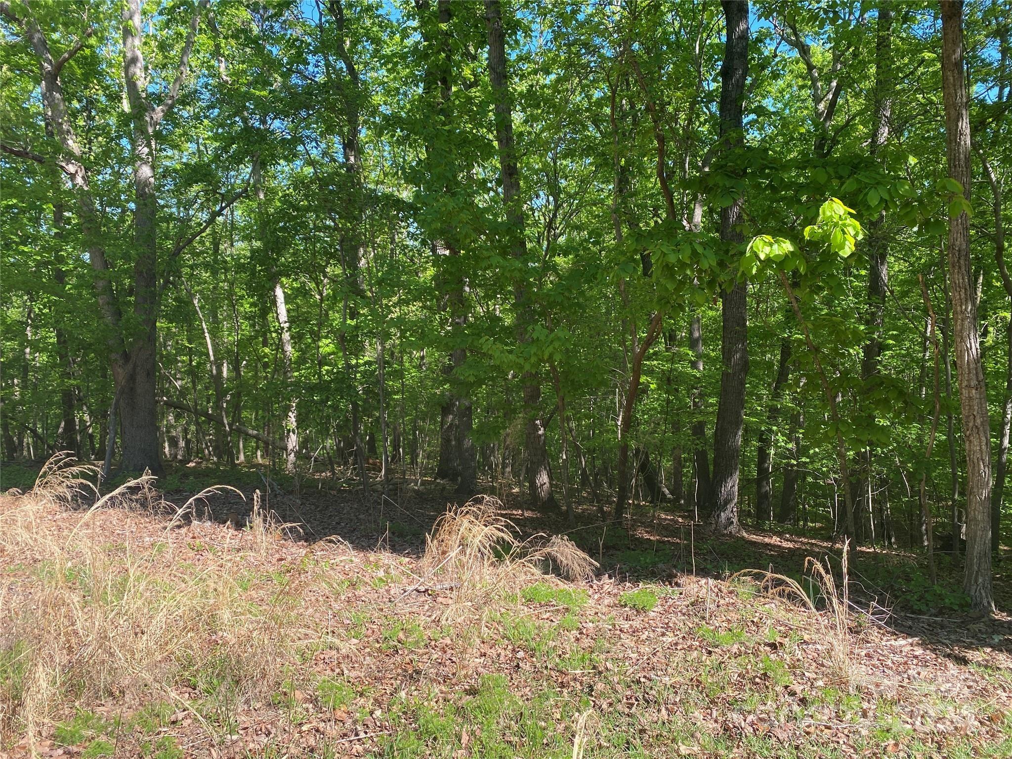 Property Image for Lot 2123 Laurel Drive