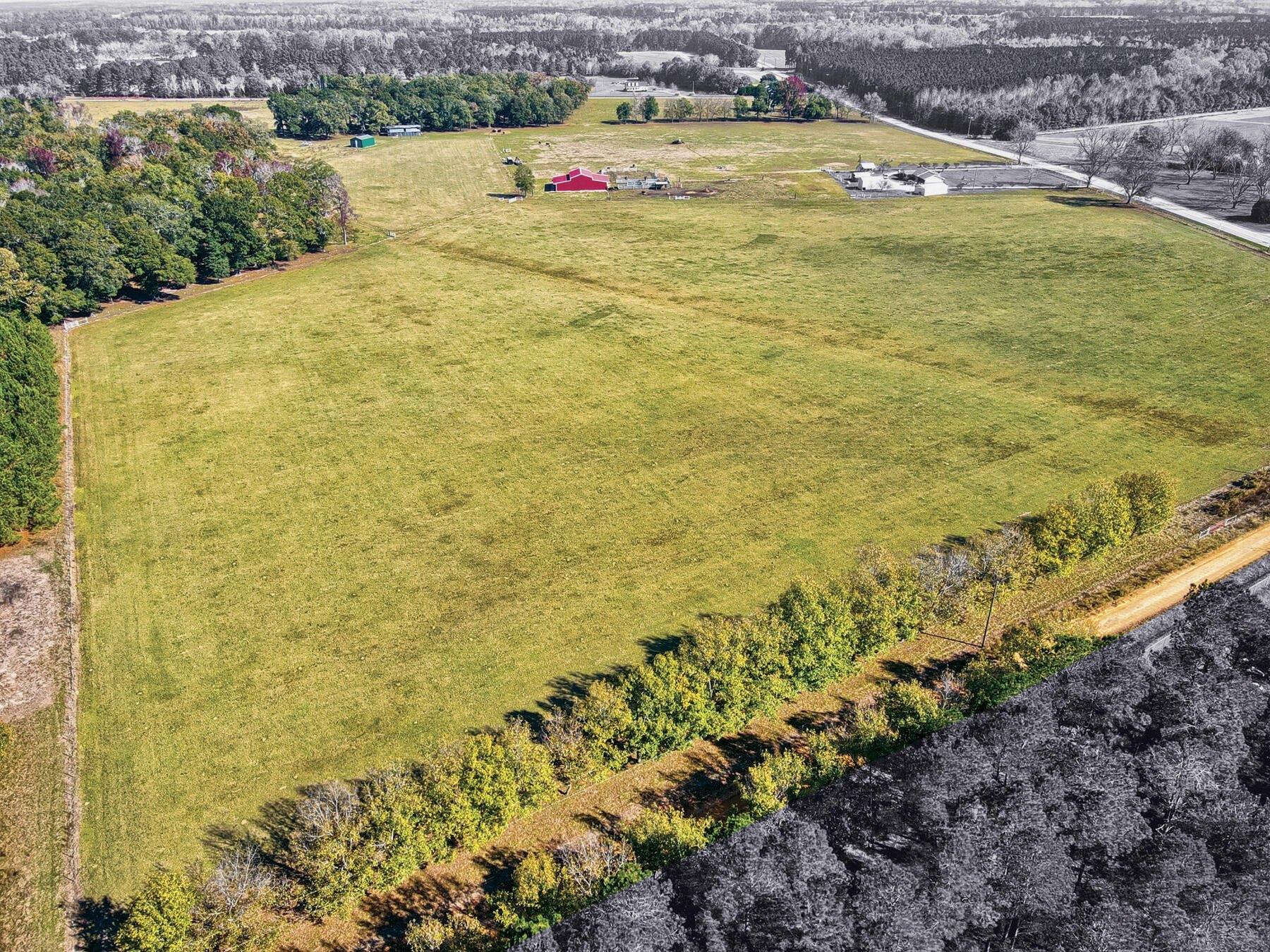 print property image