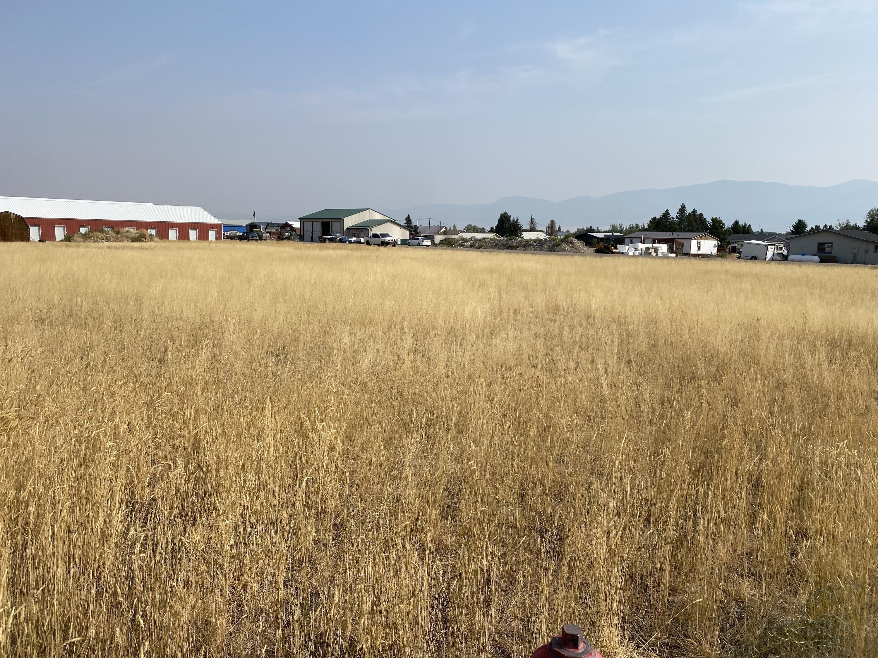 print property image