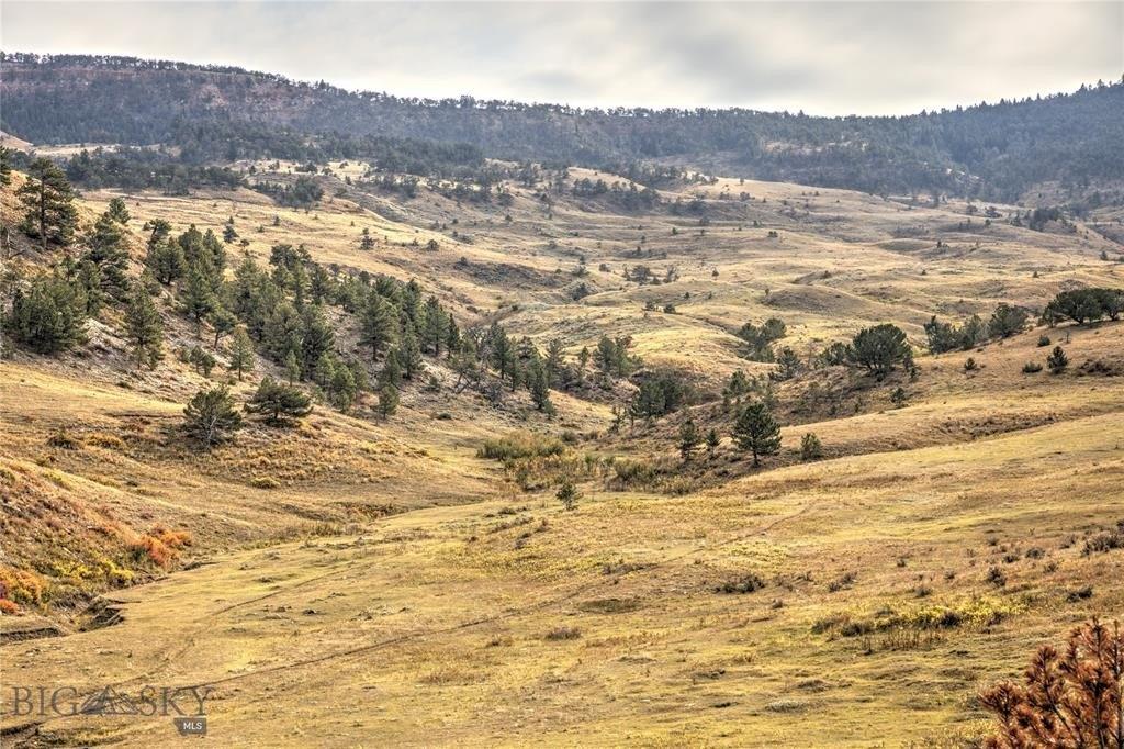 print property image