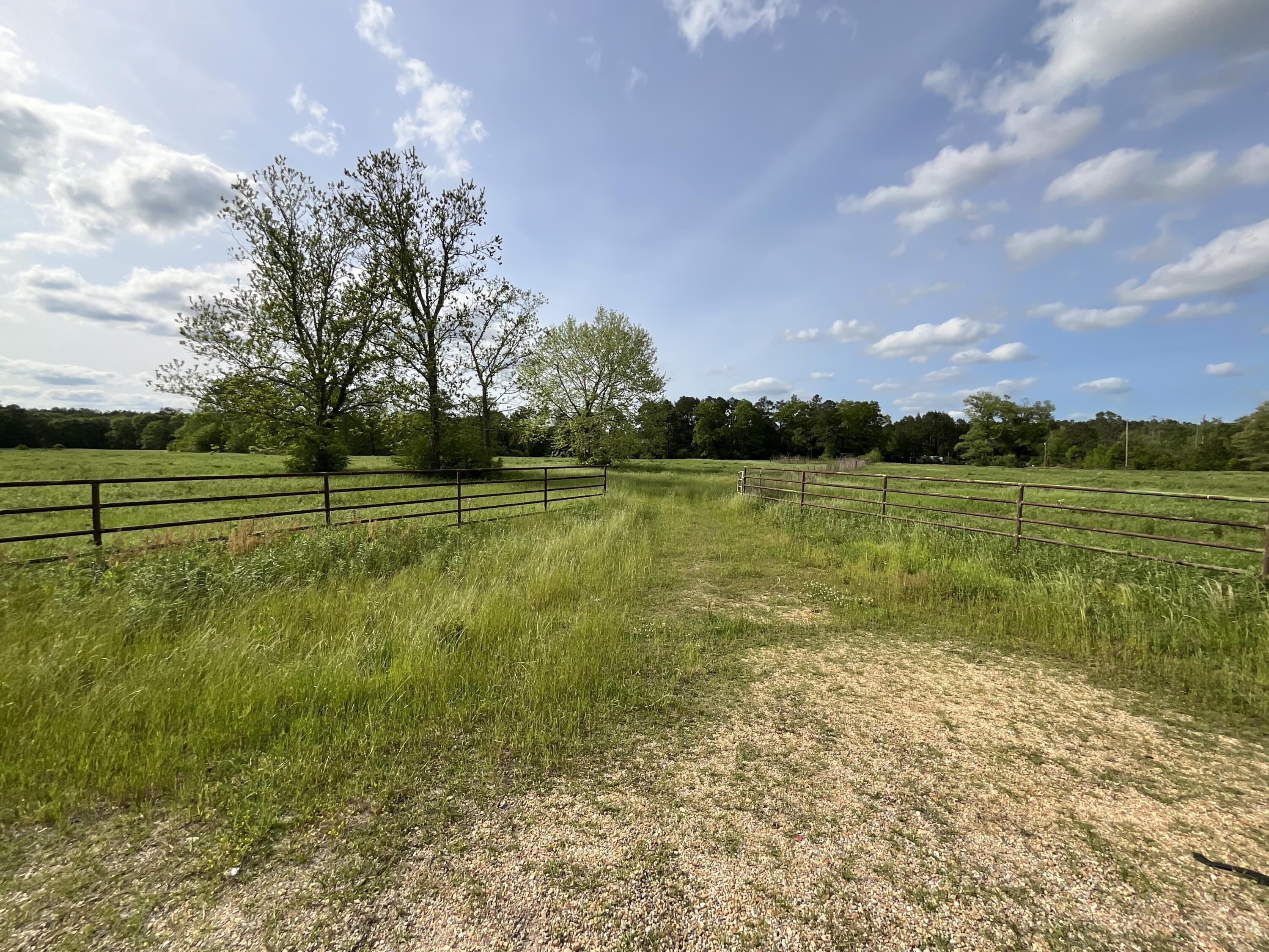 Property Image for 49.2 Acres Fire Tower Rd.