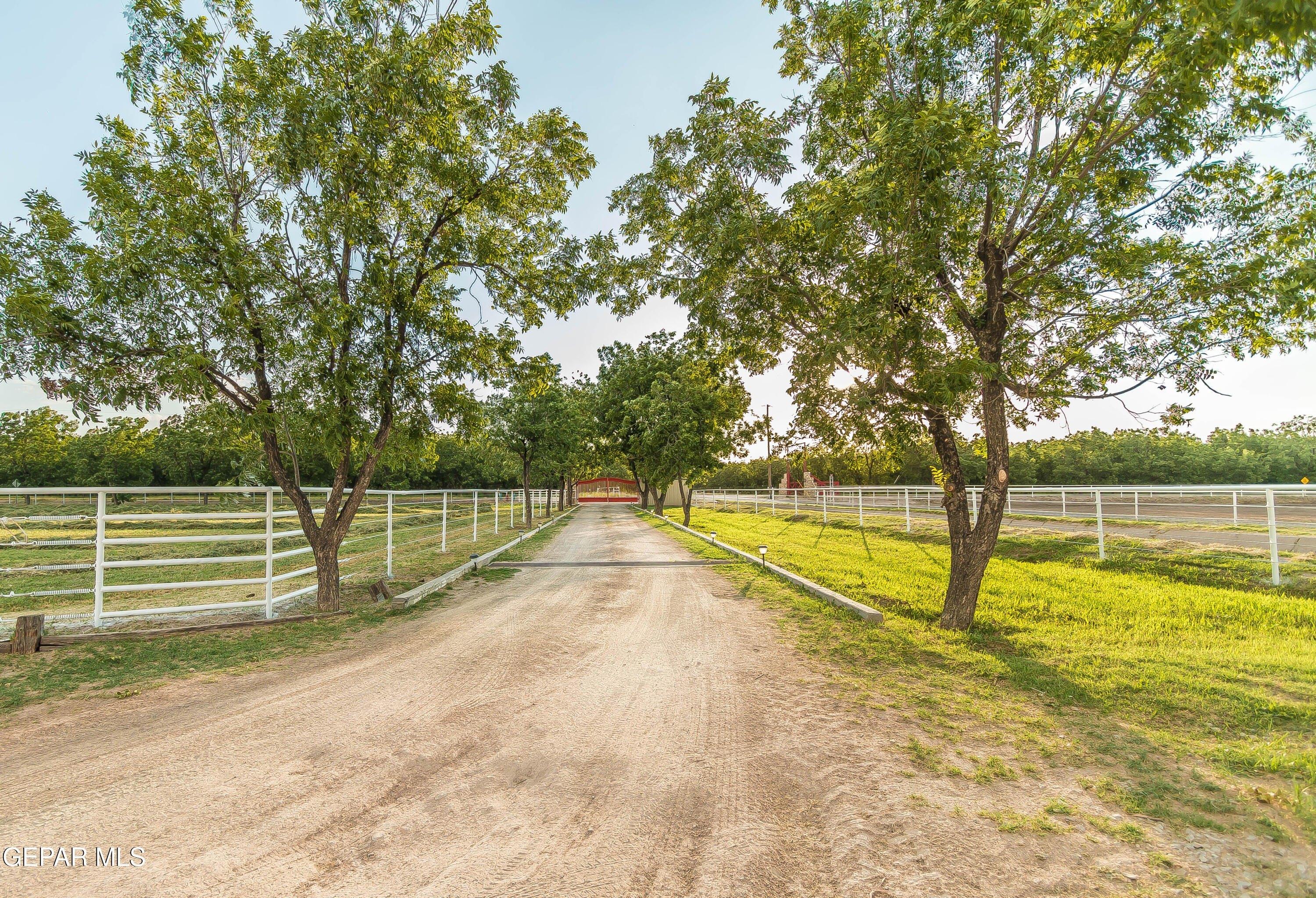 print property image