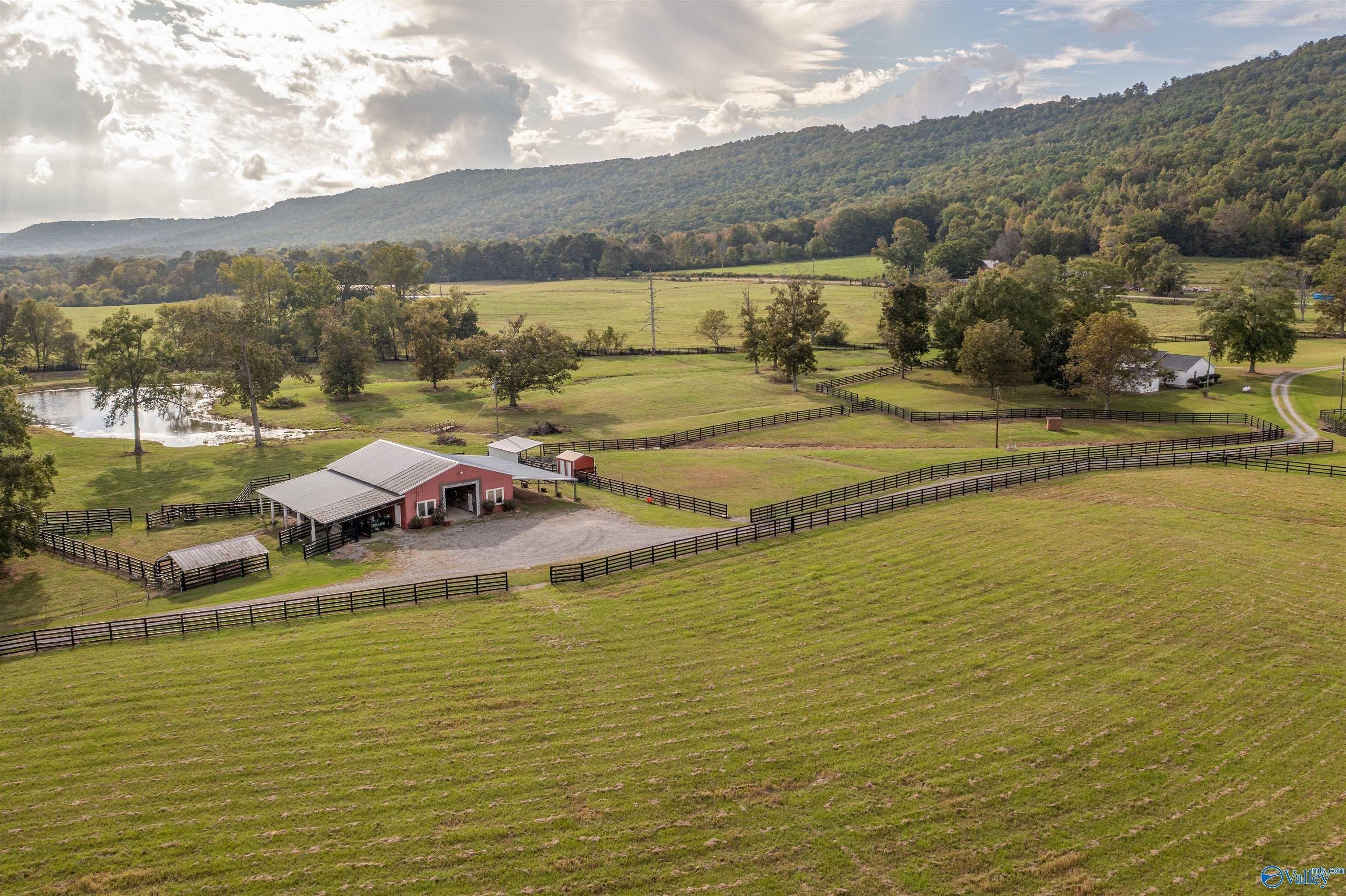 print property image