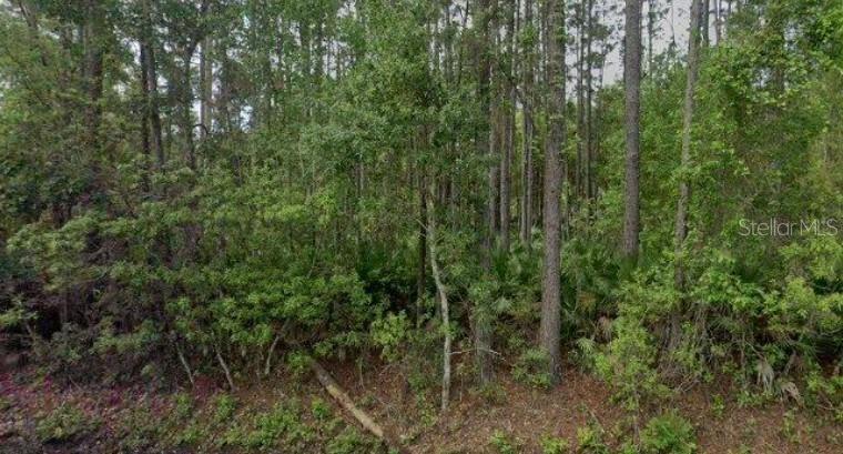 Property Image for 541 Palmetto Bluff