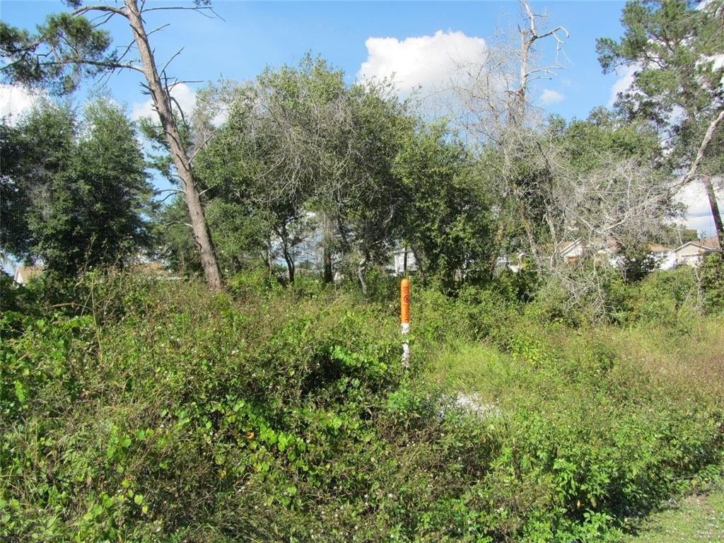 Property Image for 1684 Catalina Blvd