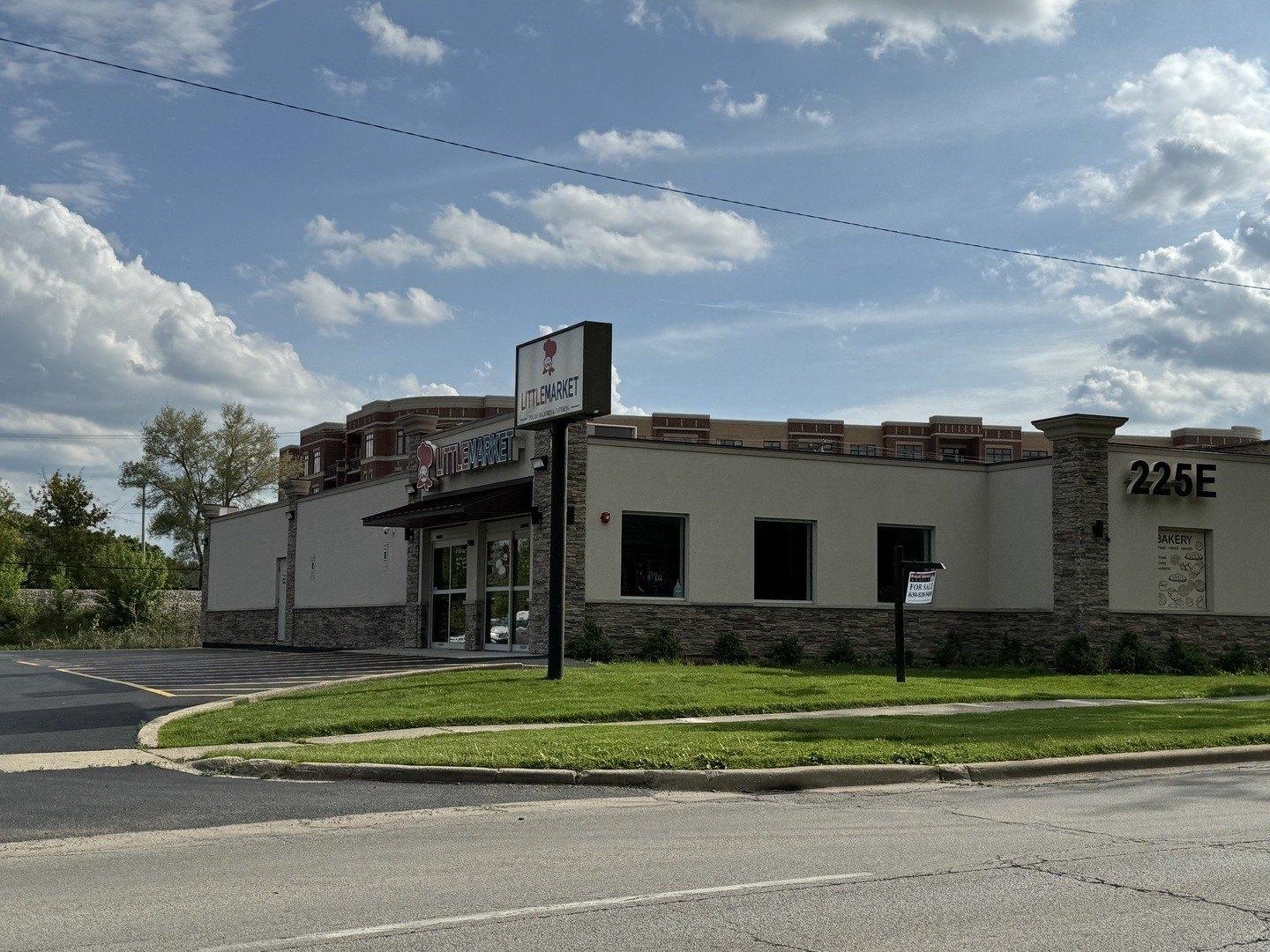 Property Image for 225 E Irving Park Road
