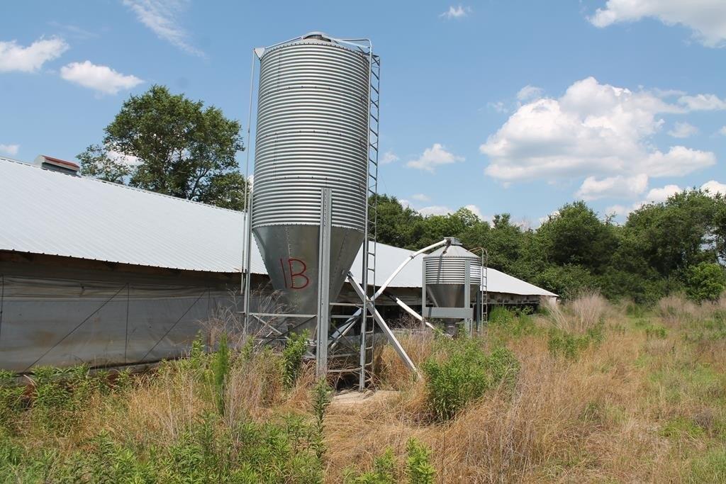 Property Image for 502 Arch Helms Road