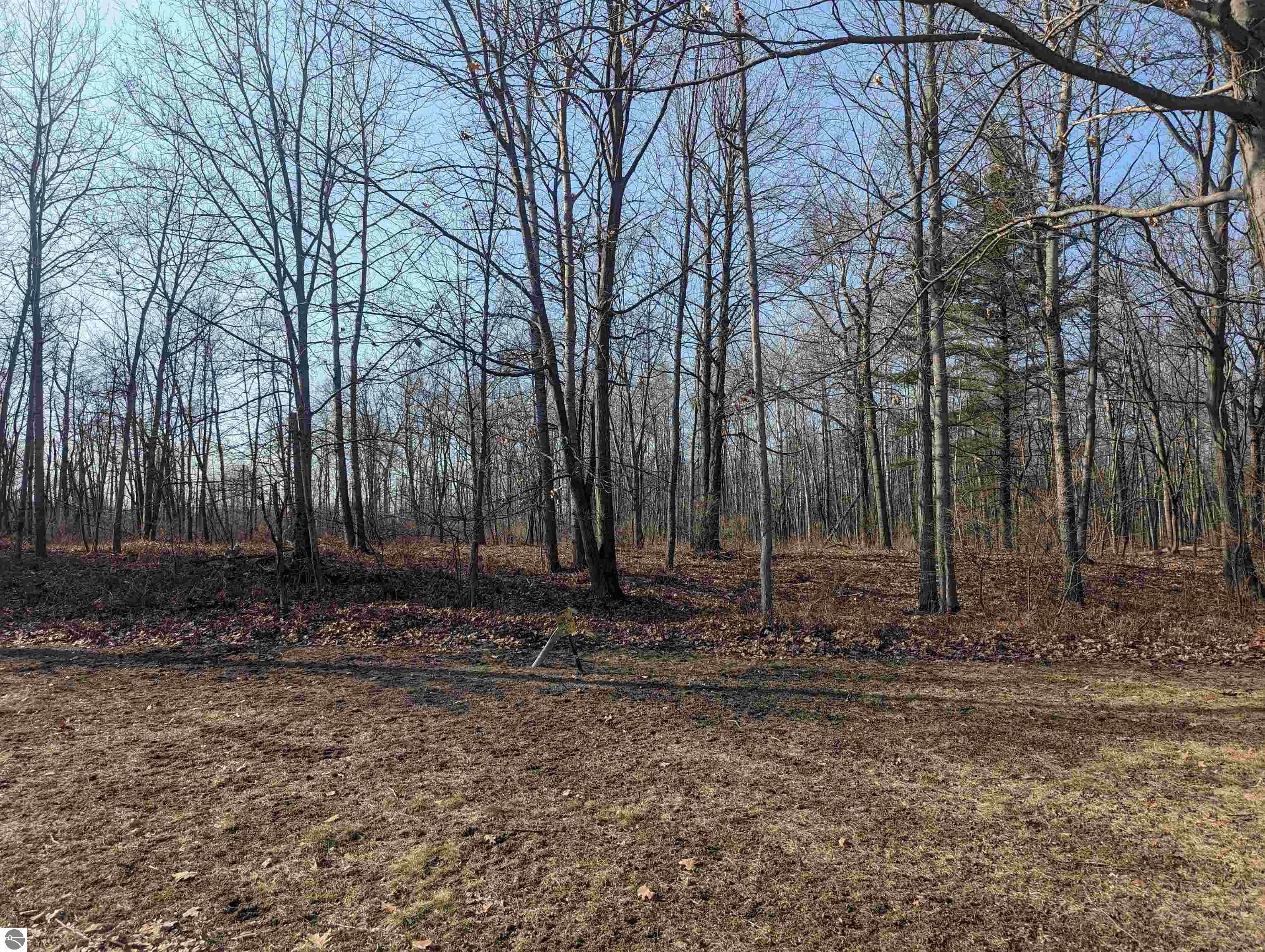 Property Image for N/A Huron Woods Drive
