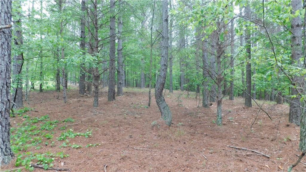 Property Image for 5.59 Acres Larmon Forks Road