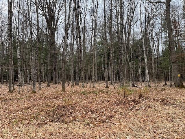 Property Image for On FOREST LAKE RD W Lot 3