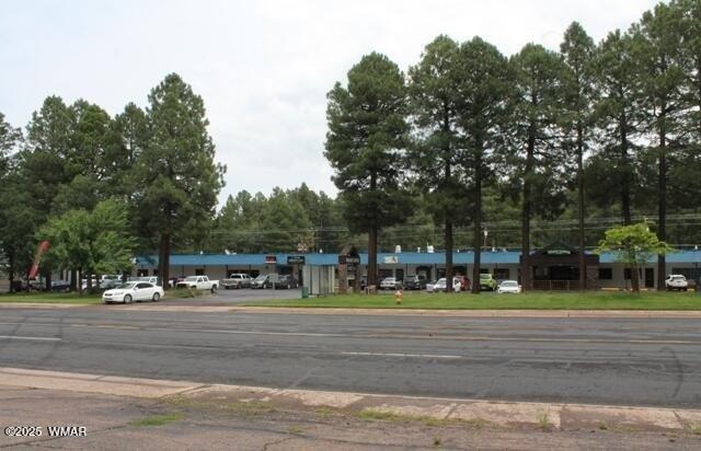 Property Image for 674 E White Mountain Boulevard