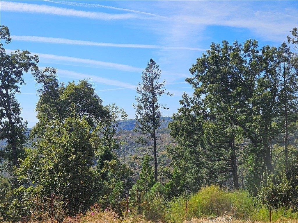 print property image