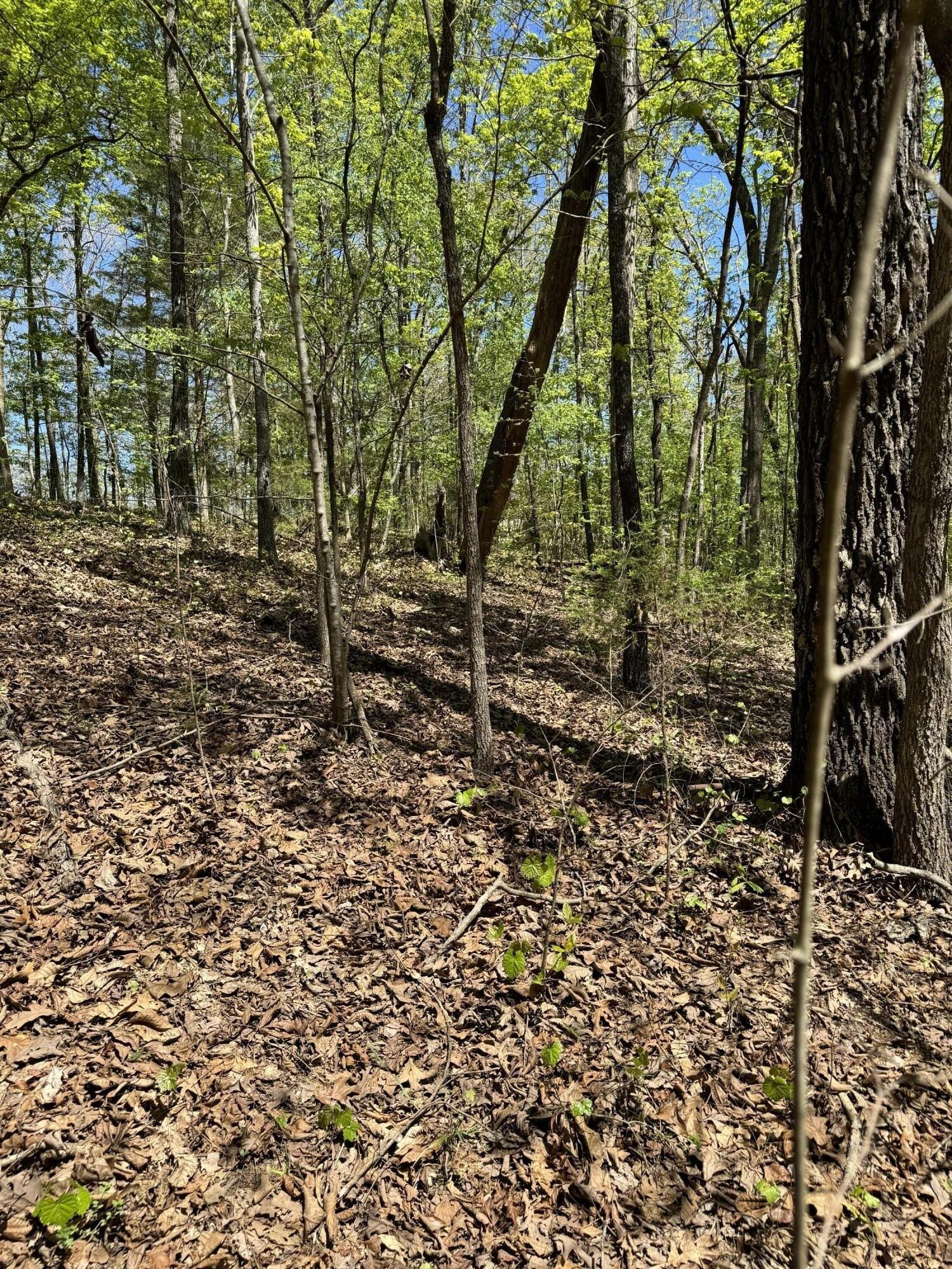 Property Image for 30 Hidden Ridge Loop