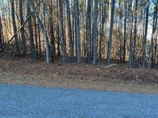 Property Image for Lot 30 Yellow Creek Rd Lot 30