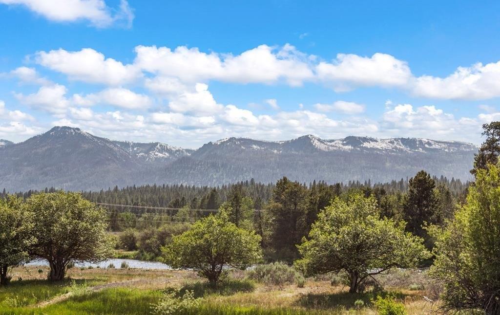 print property image