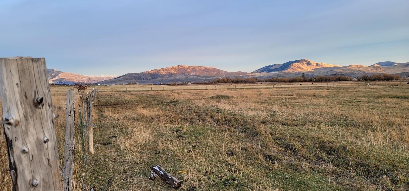 print property image