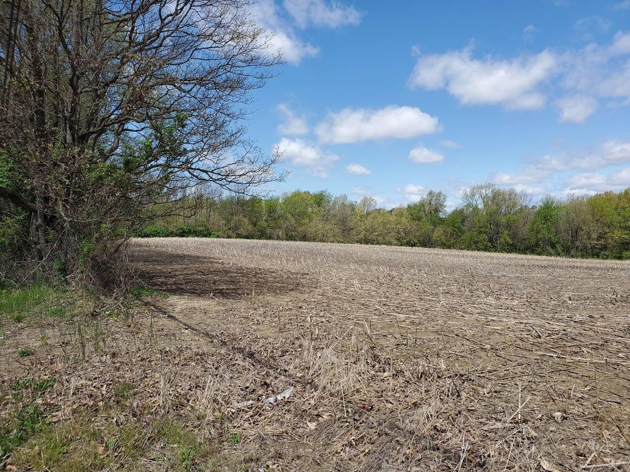 print property image