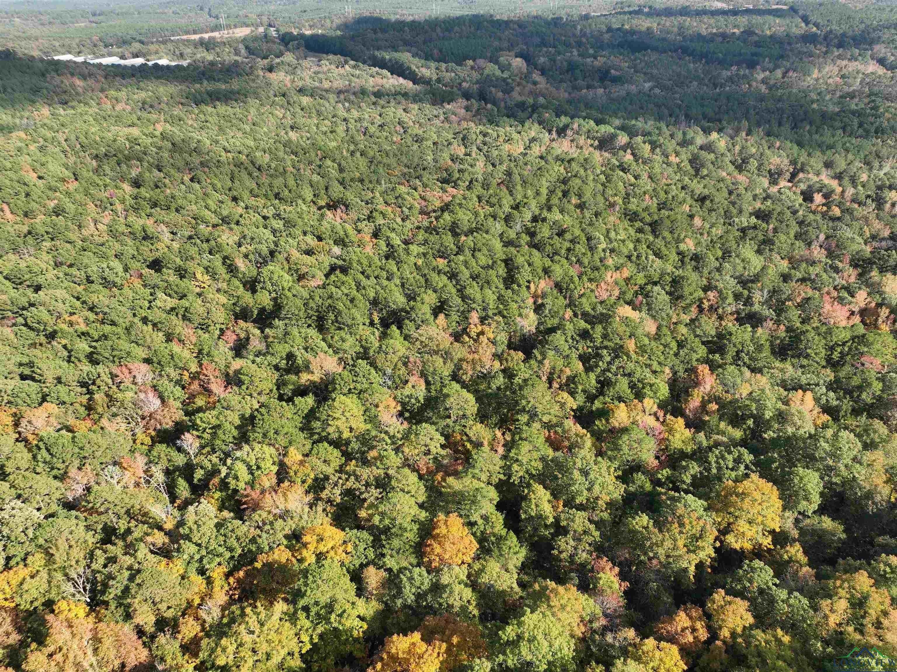 Property Image for Tbd FM 2796 Tract 1