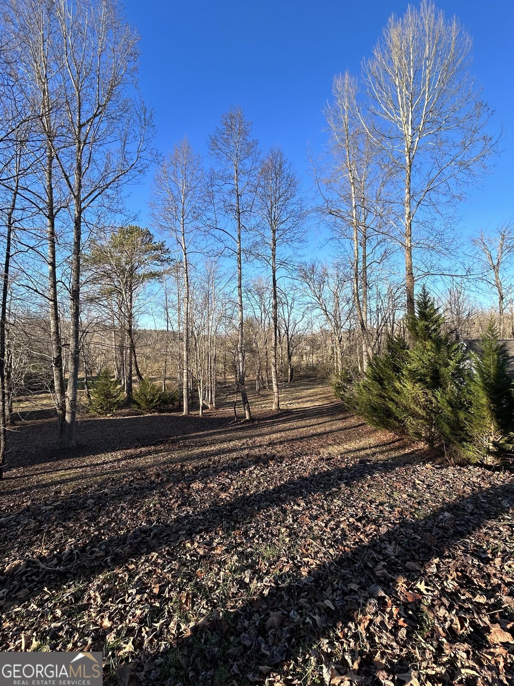 Property Image for LOT 11 Willow Springs Rd