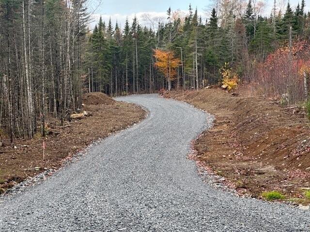 print property image