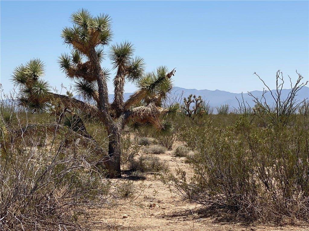 print property image