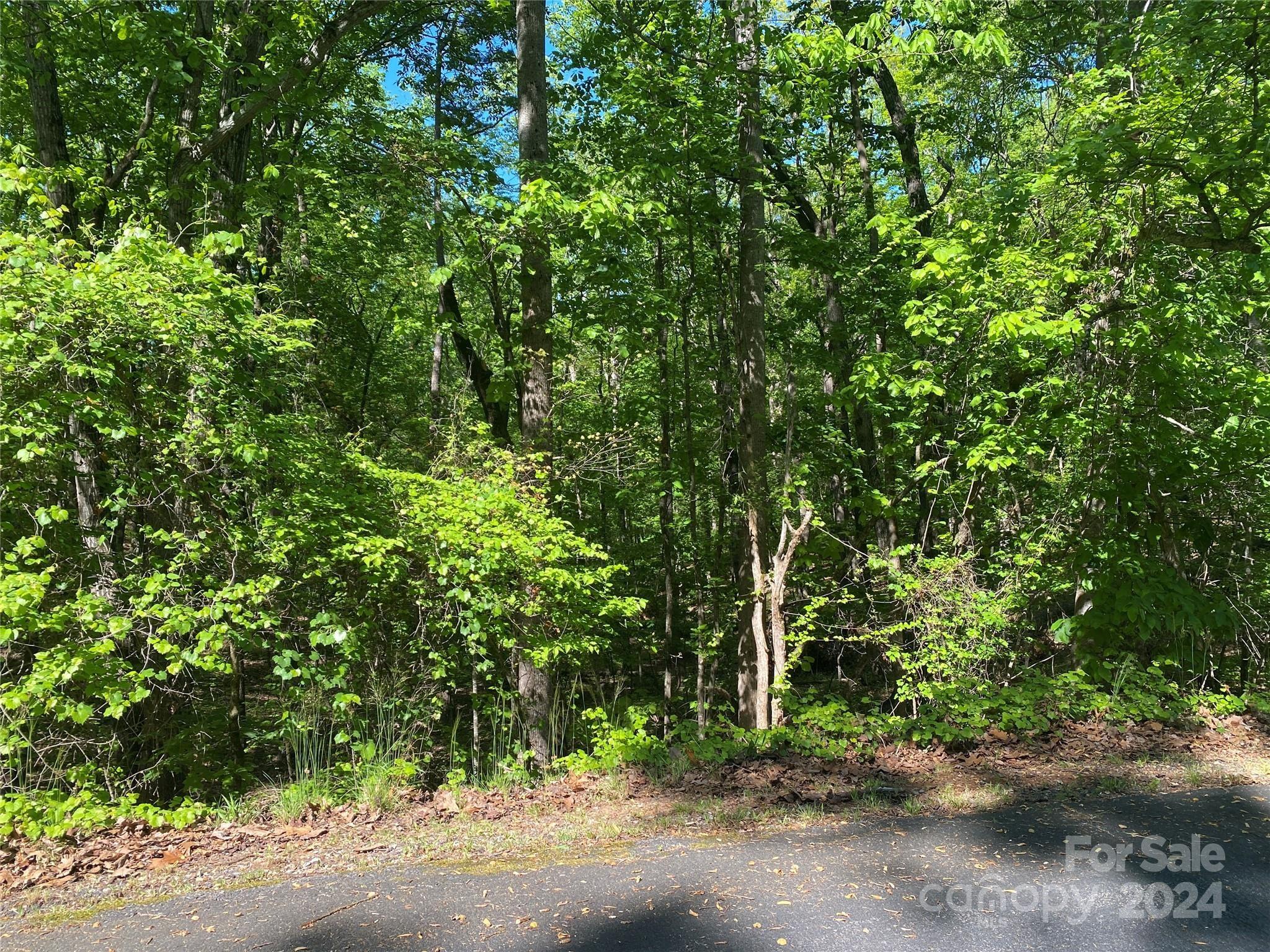 Property Image for Lot 1964 Cheyenne Drive