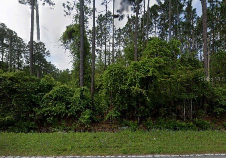 Property Image for 543 Palmetto Bluff