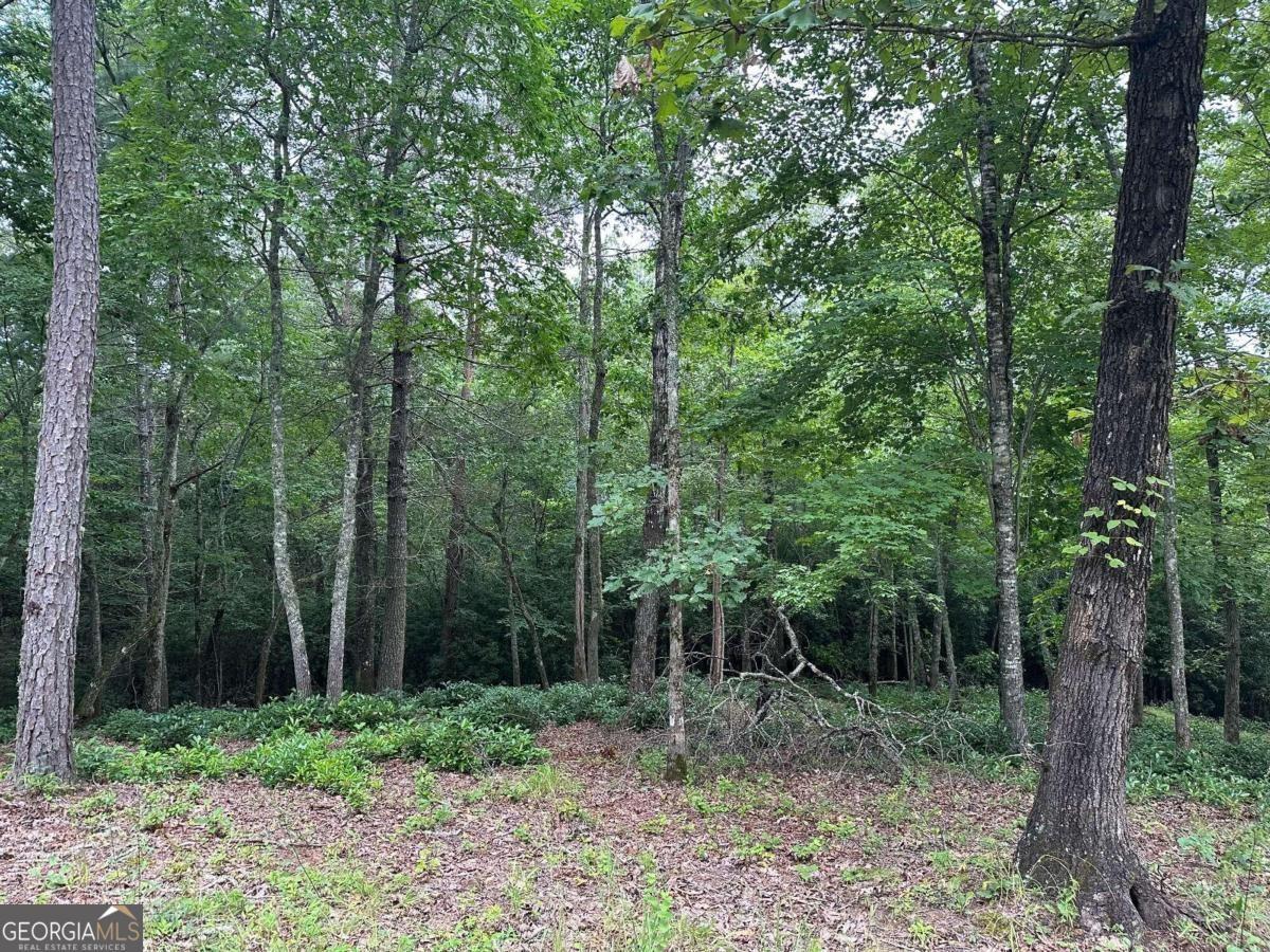 Property Image for LOT 21 Brasstown Trails