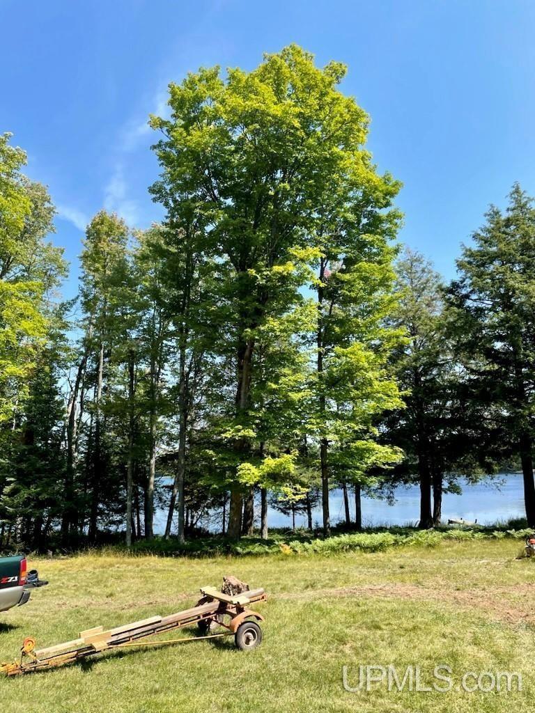 Property Image for TBD Robinson Lake