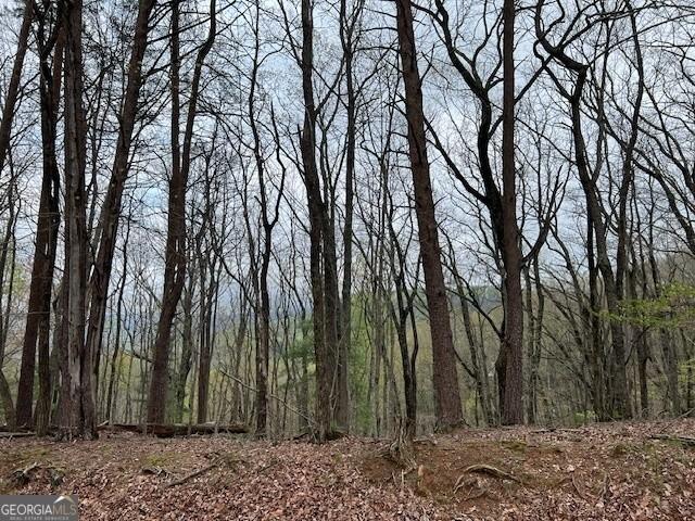 Property Image for LOT J227 Walnut Mountain Road