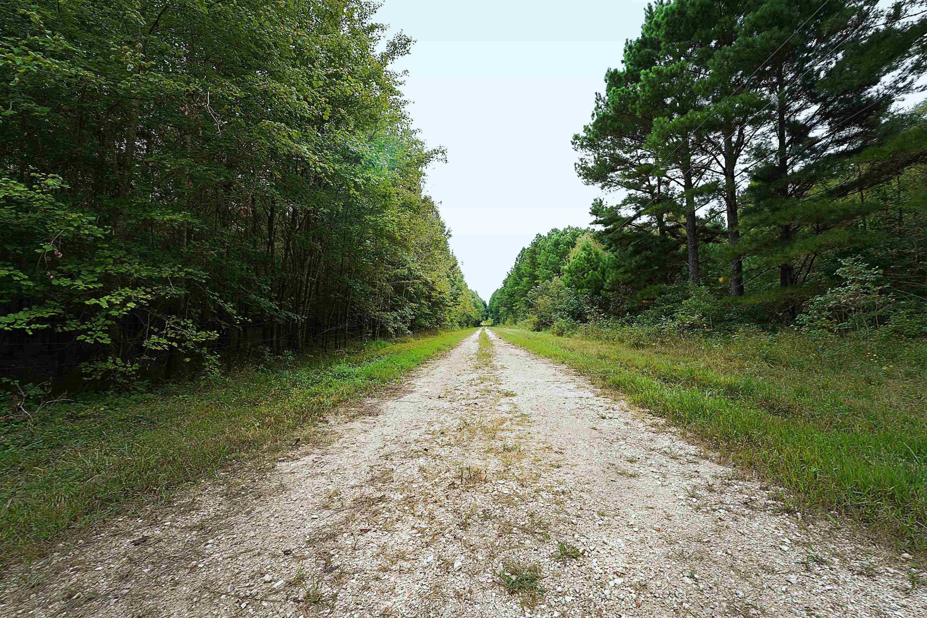 print property image