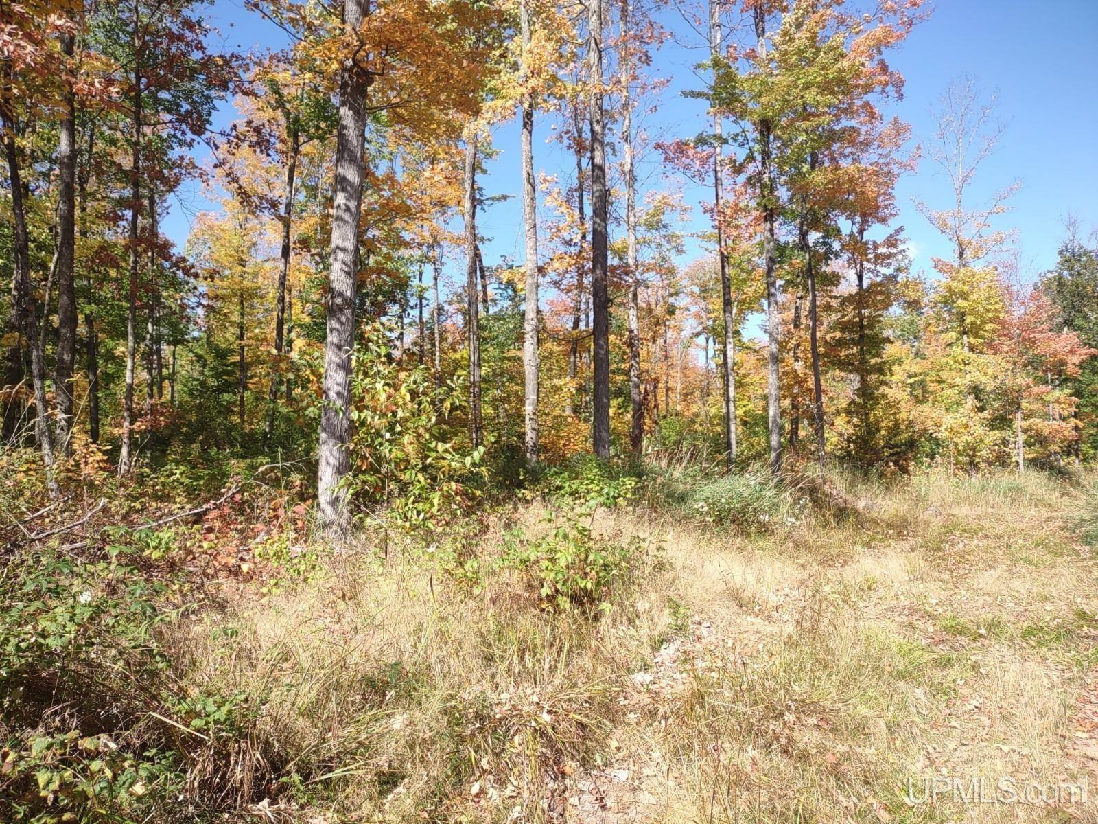 Property Image for TBD Off M38
