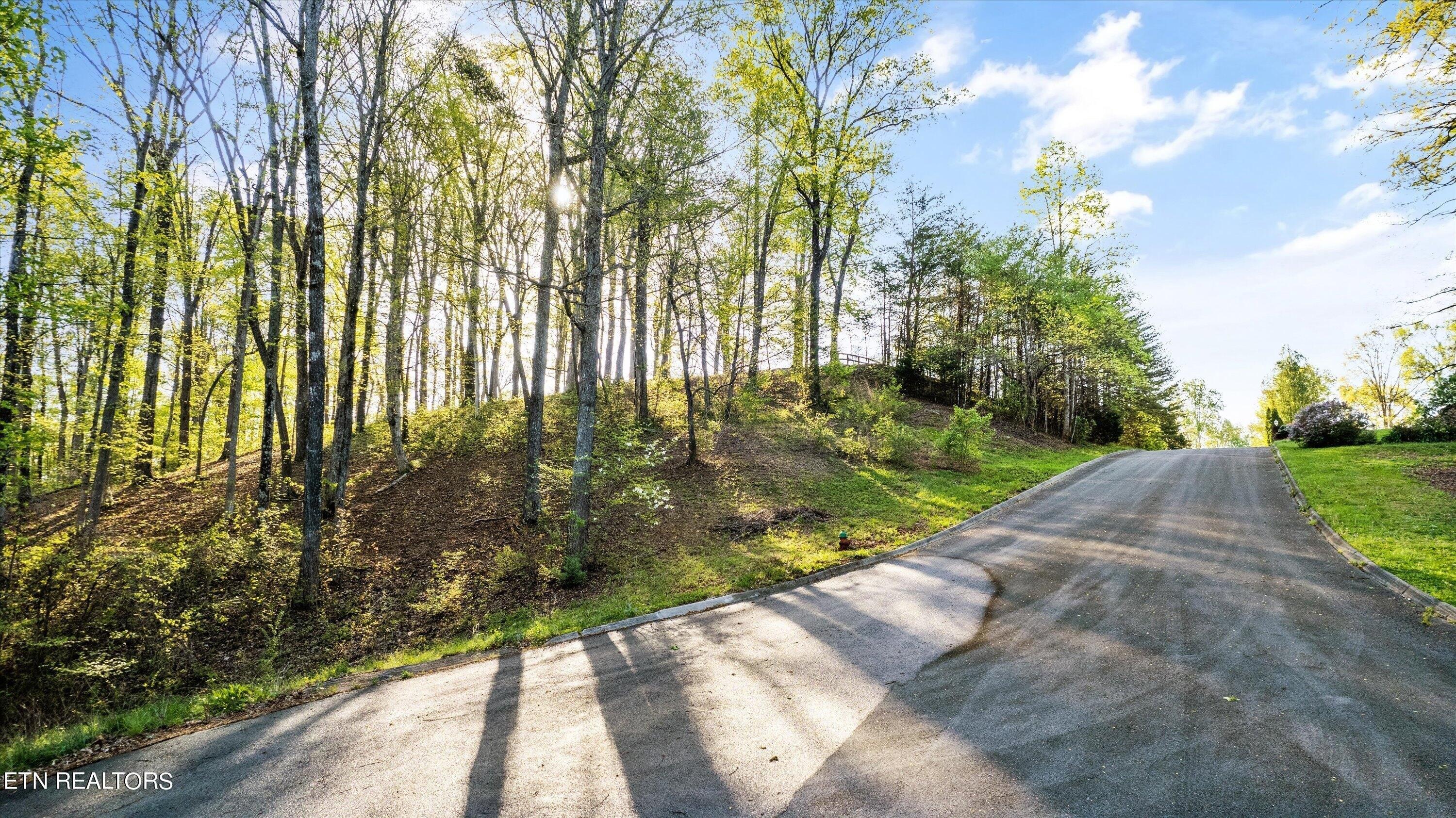 Property Image for Lot 39 Apple Tree Drive