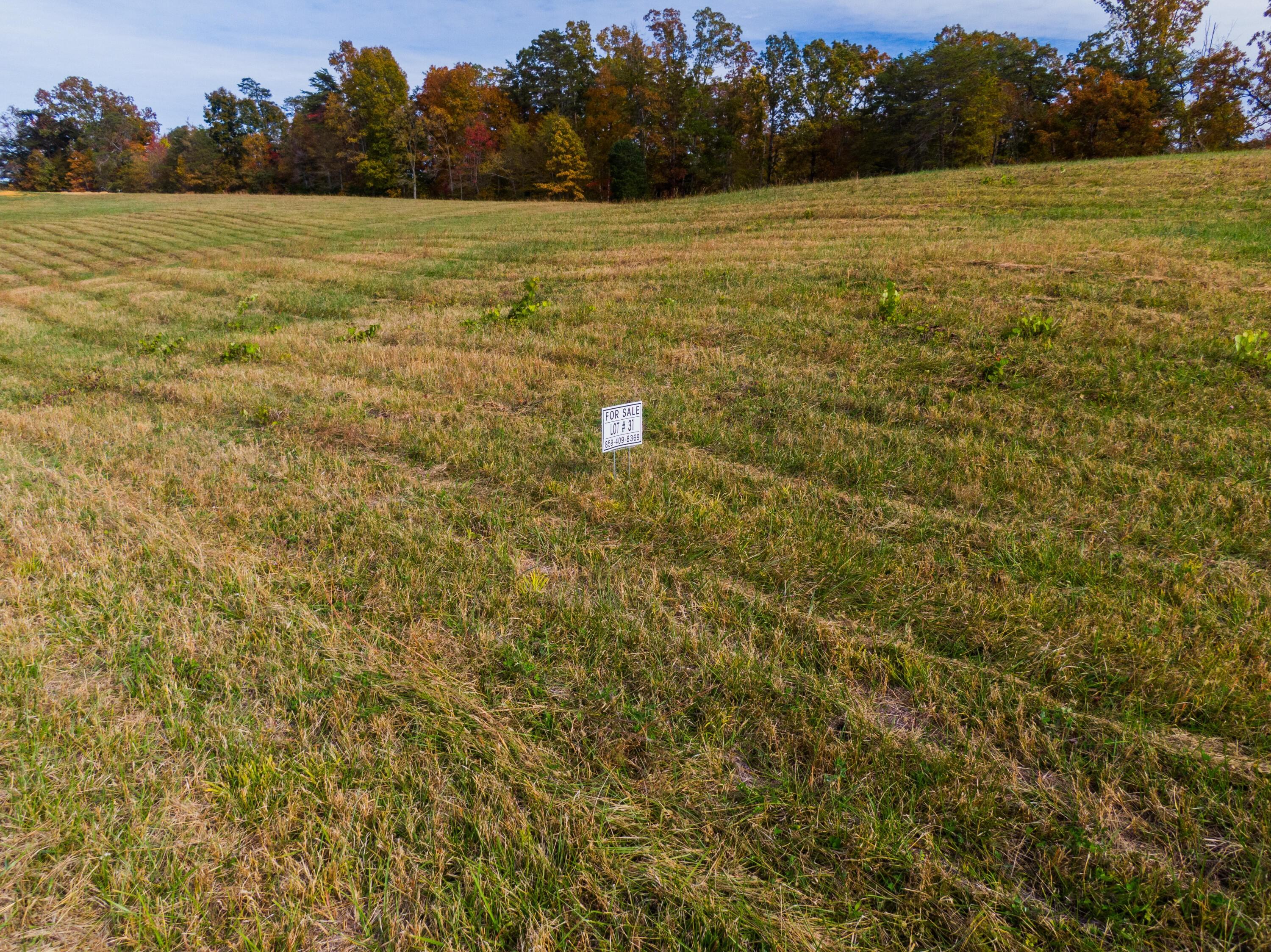 Property Image for Lot 31 Spring Branch Hollow Road