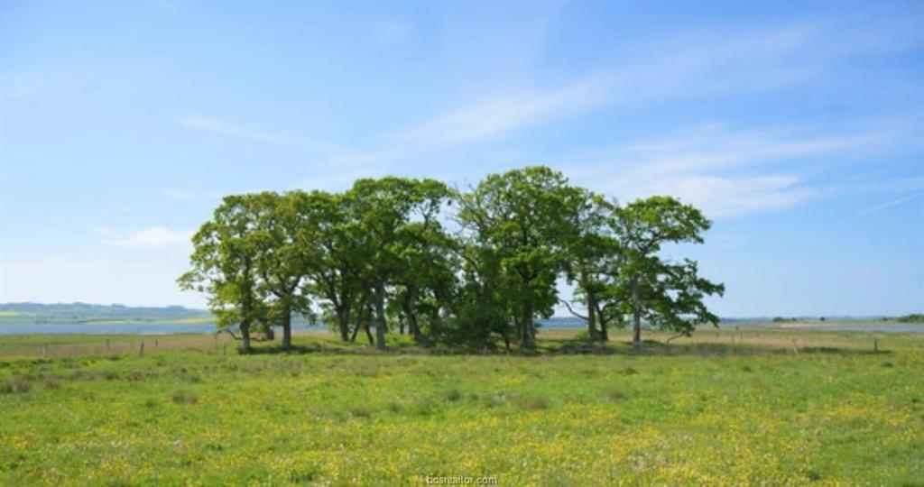 Property Image for Tbd CR 324