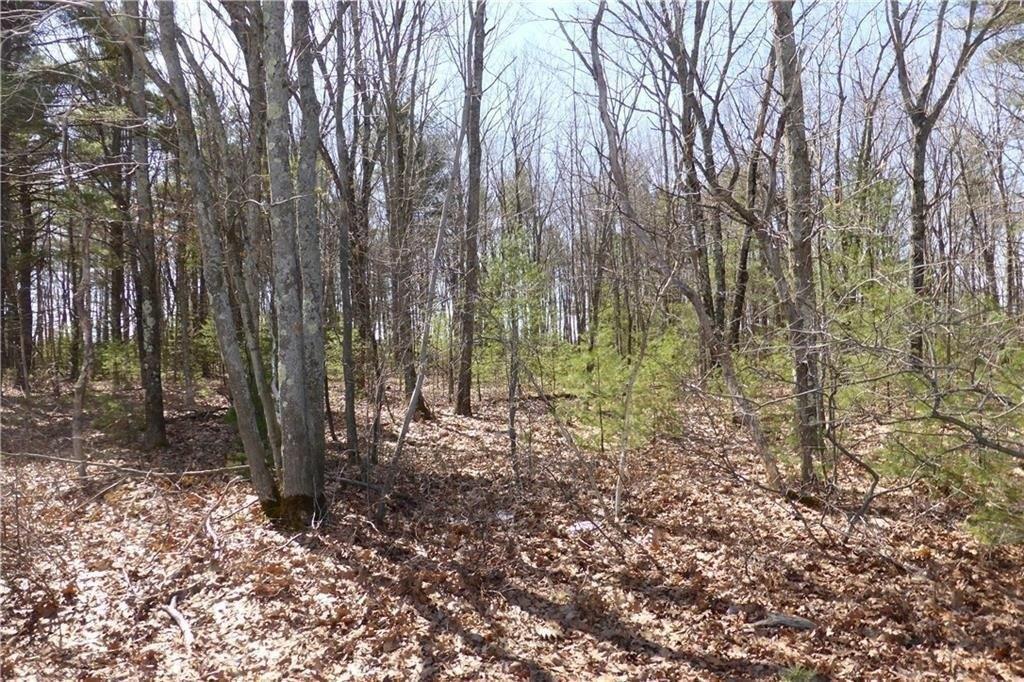 Property Image for Lot 1C Main Street / Rte 109