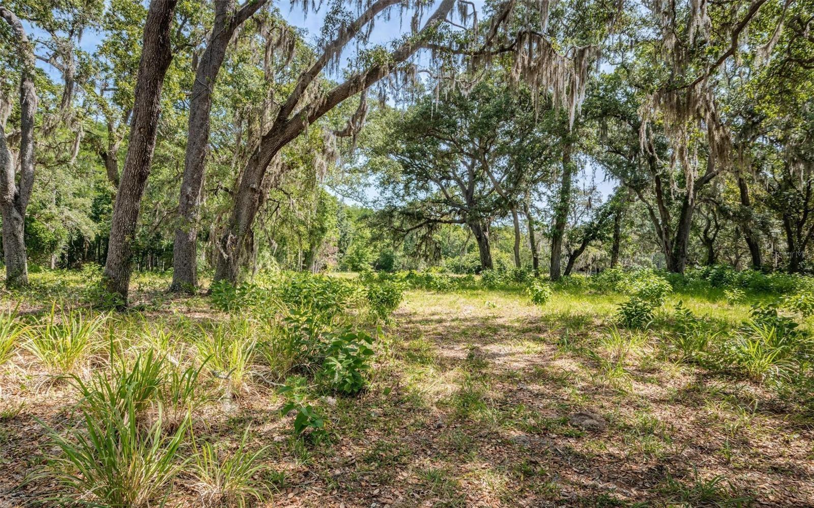 Property Image for Old East Lake Road