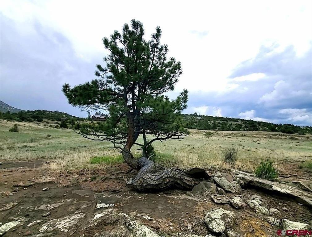 print property image