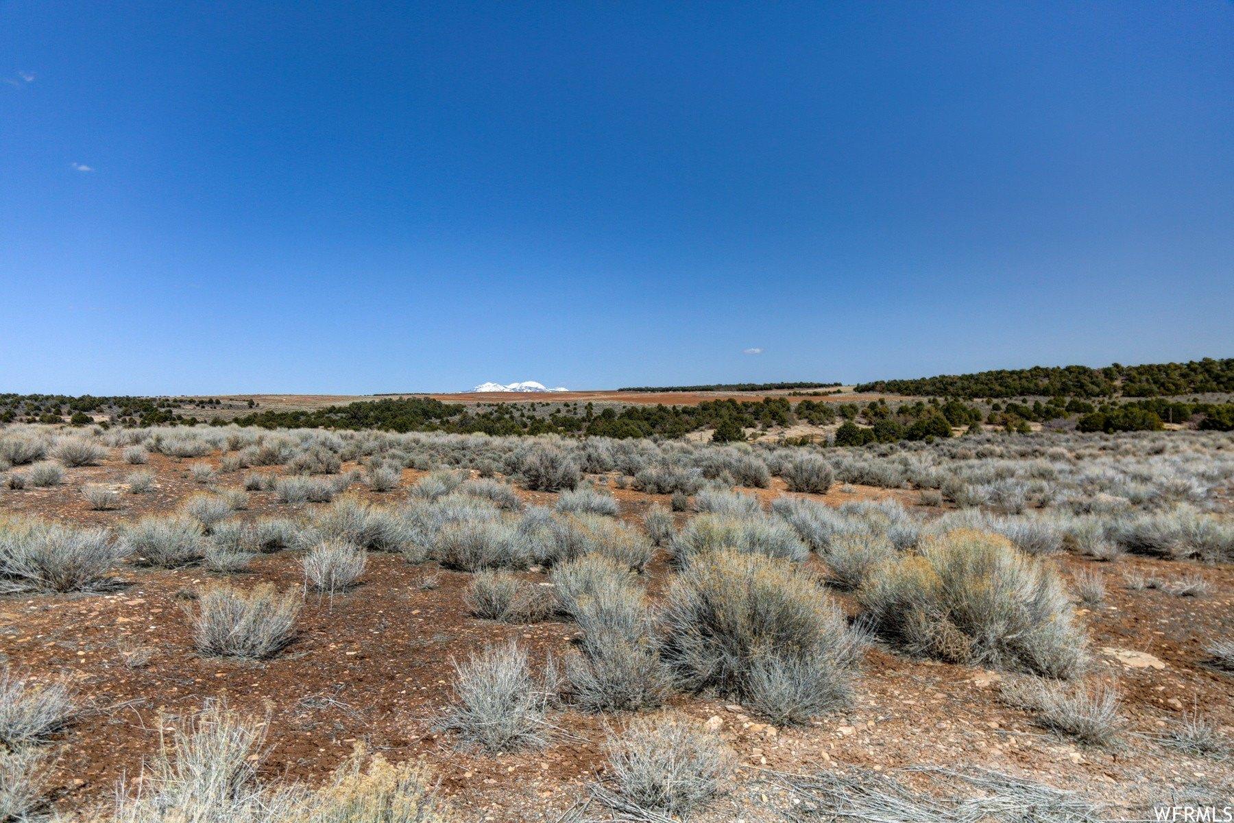 print property image