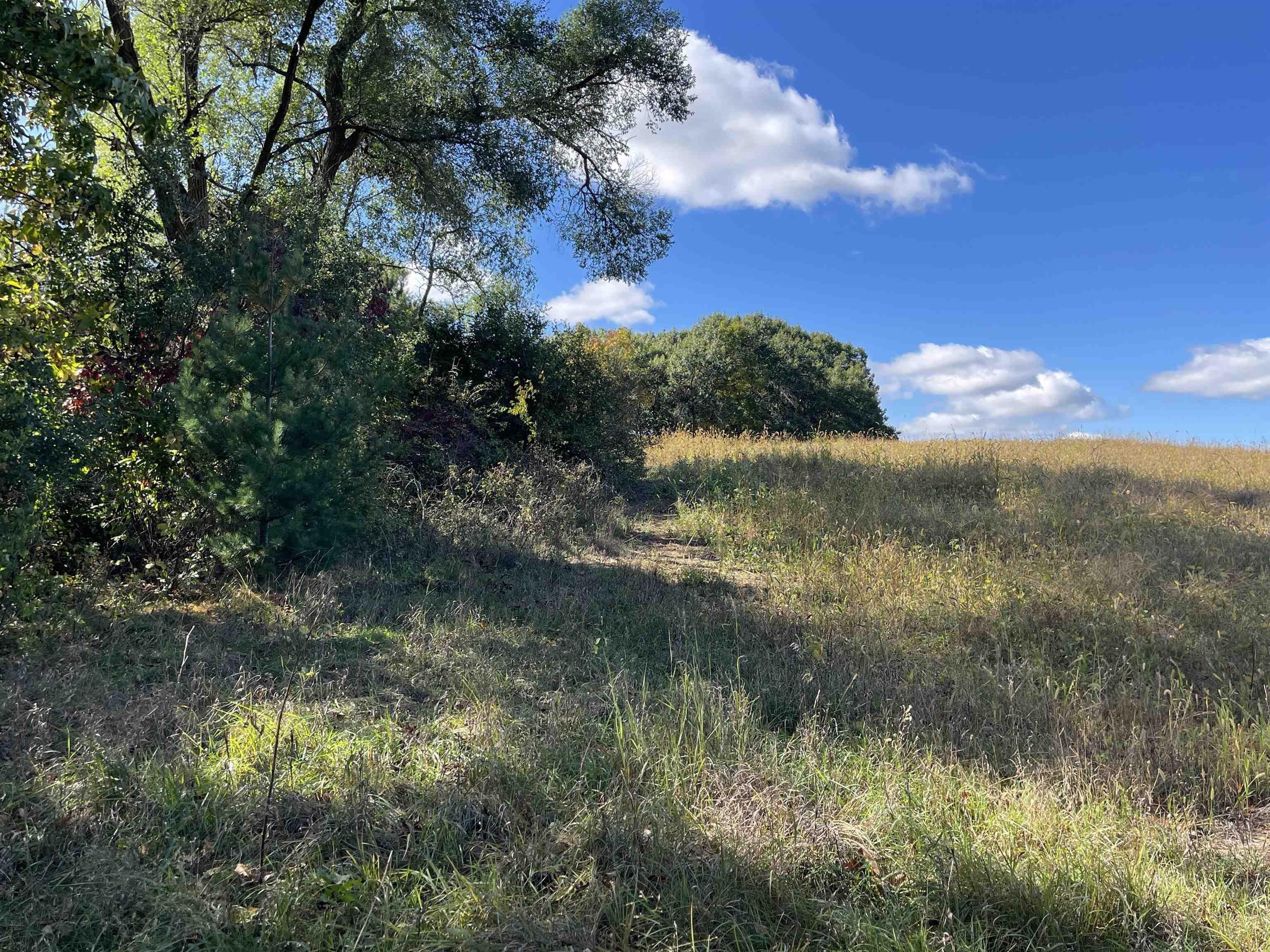 Property Image for 50.25ac Highway 22