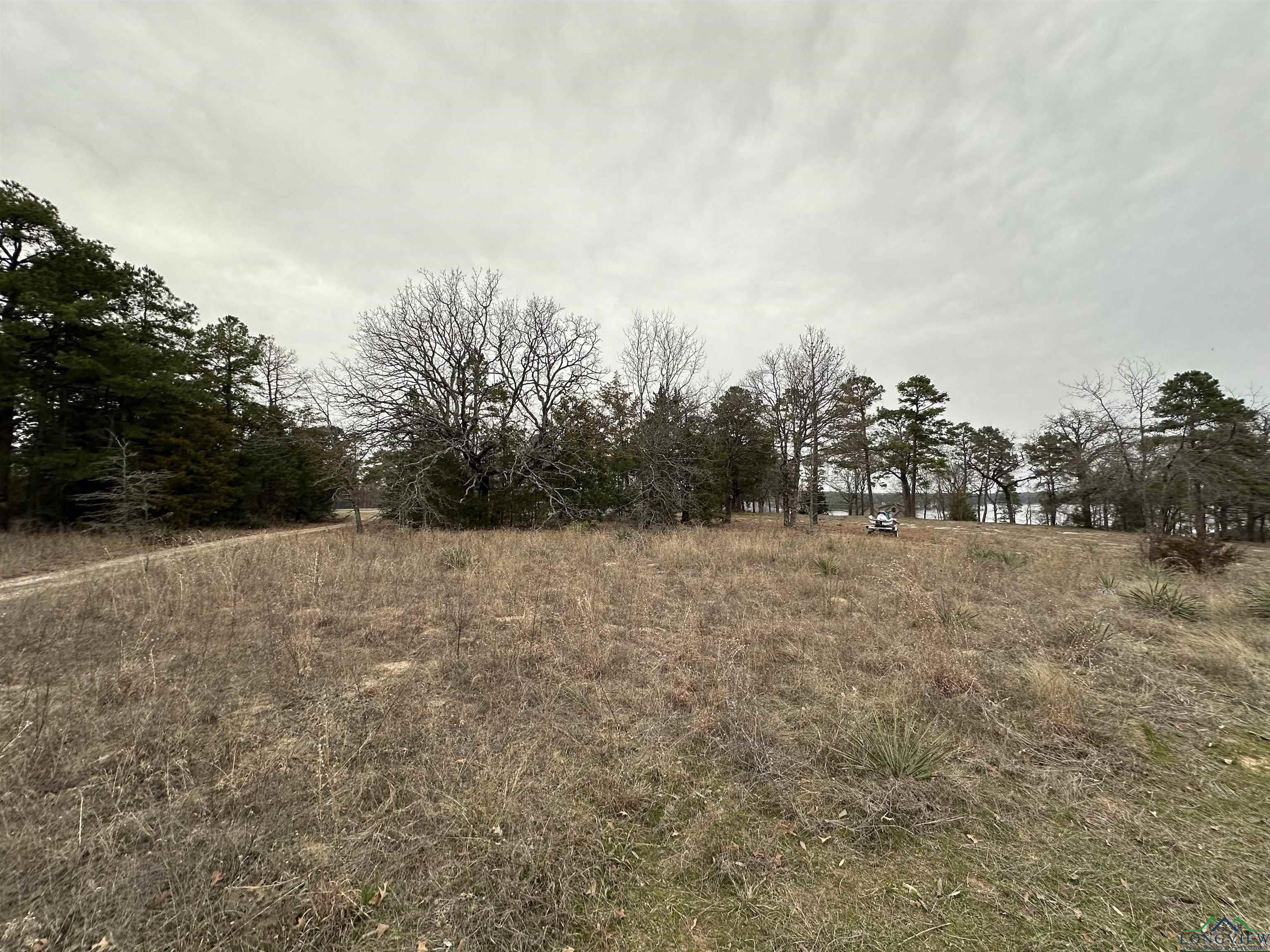 Property Image for Tbd Navasota Ct