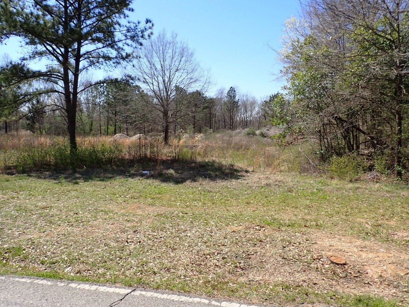 Property Image for 0 30th Avenue