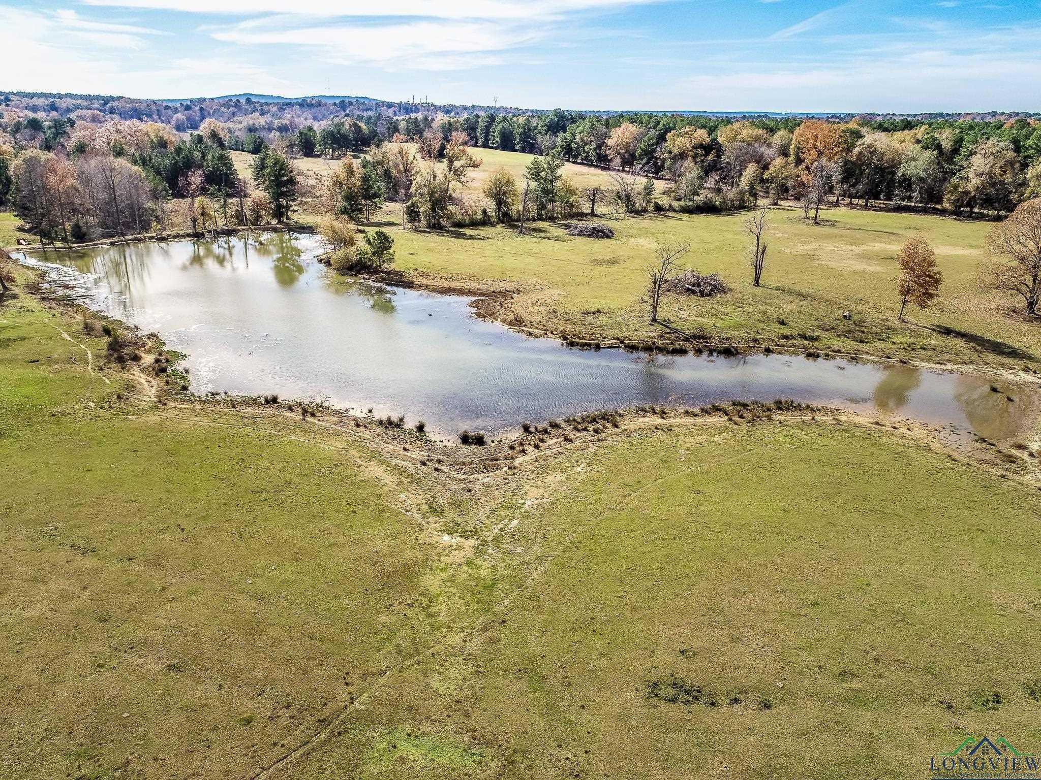 Property Image for 635 Ac HWY 315