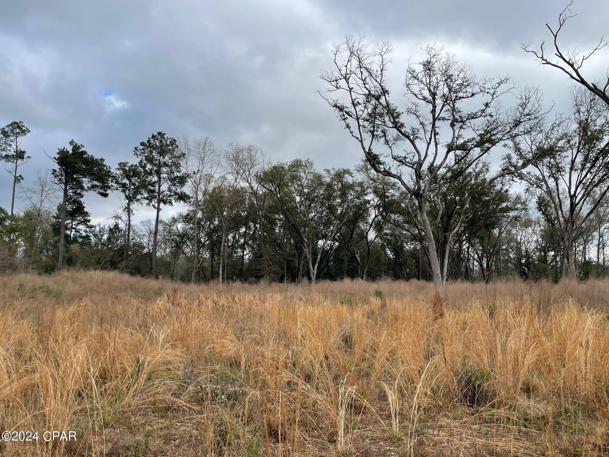 Property Image for 5 Acres Hwy 90