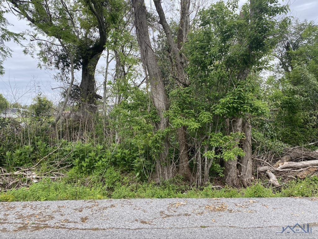 Property Image for Lot 12 E 134th Street