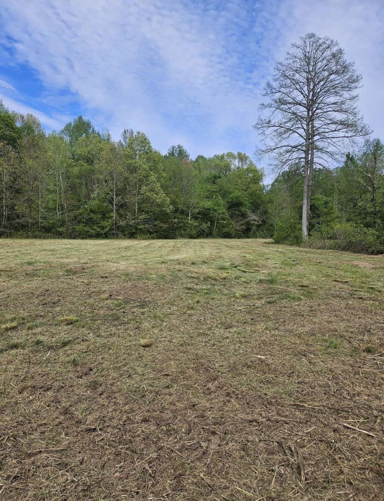 950 138, Toone, TN 38381 MLS 10173004 CENTURY 21