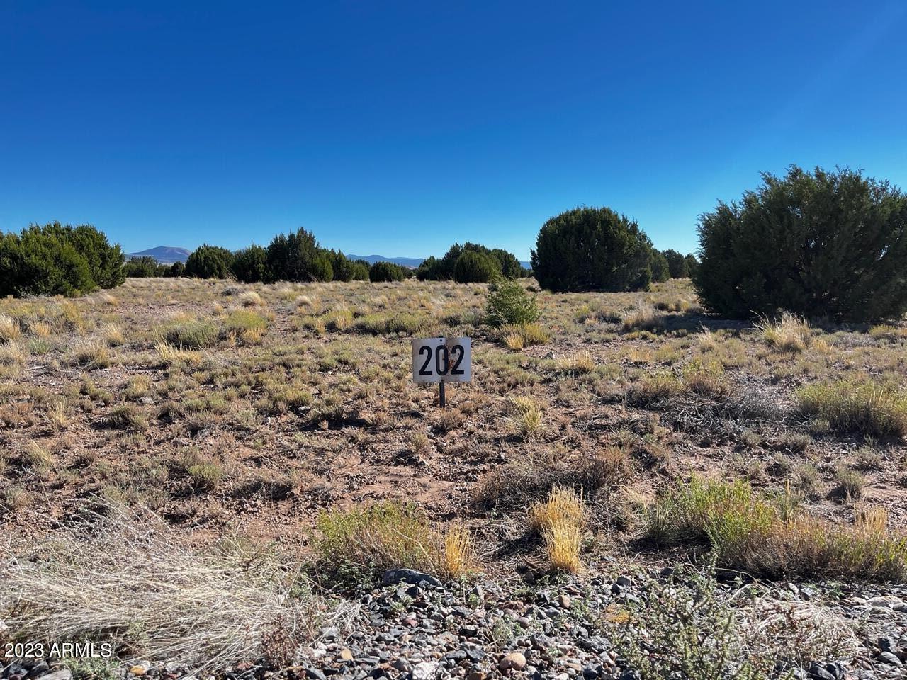 Property Image for Lot 202 E County Road 3687 Road 202