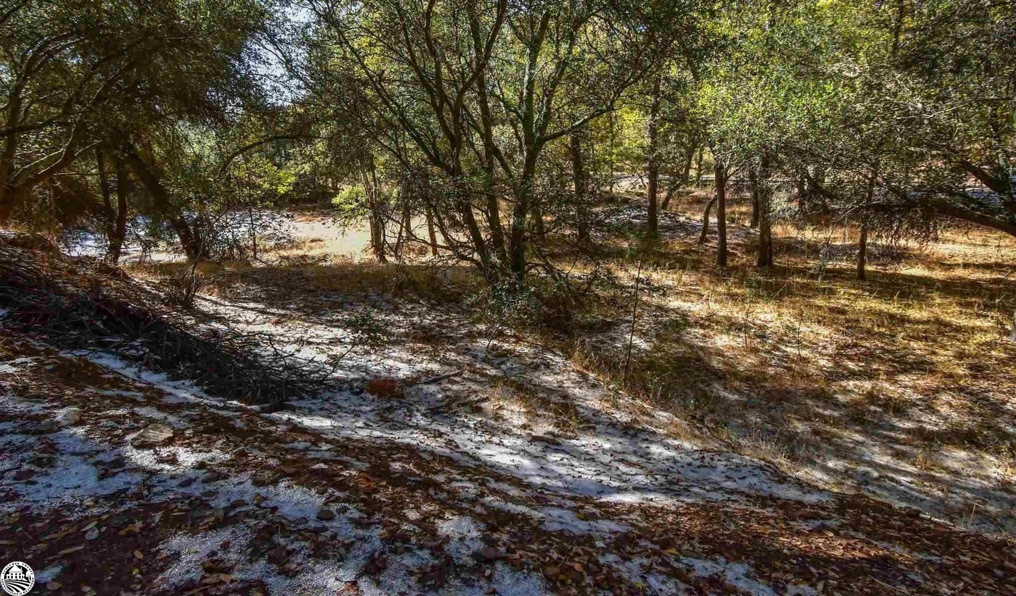 print property image